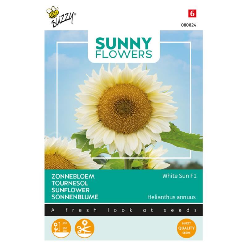 Buzzy-Sunny-Flowers-Zonnebloem-White-Sun-of-Day