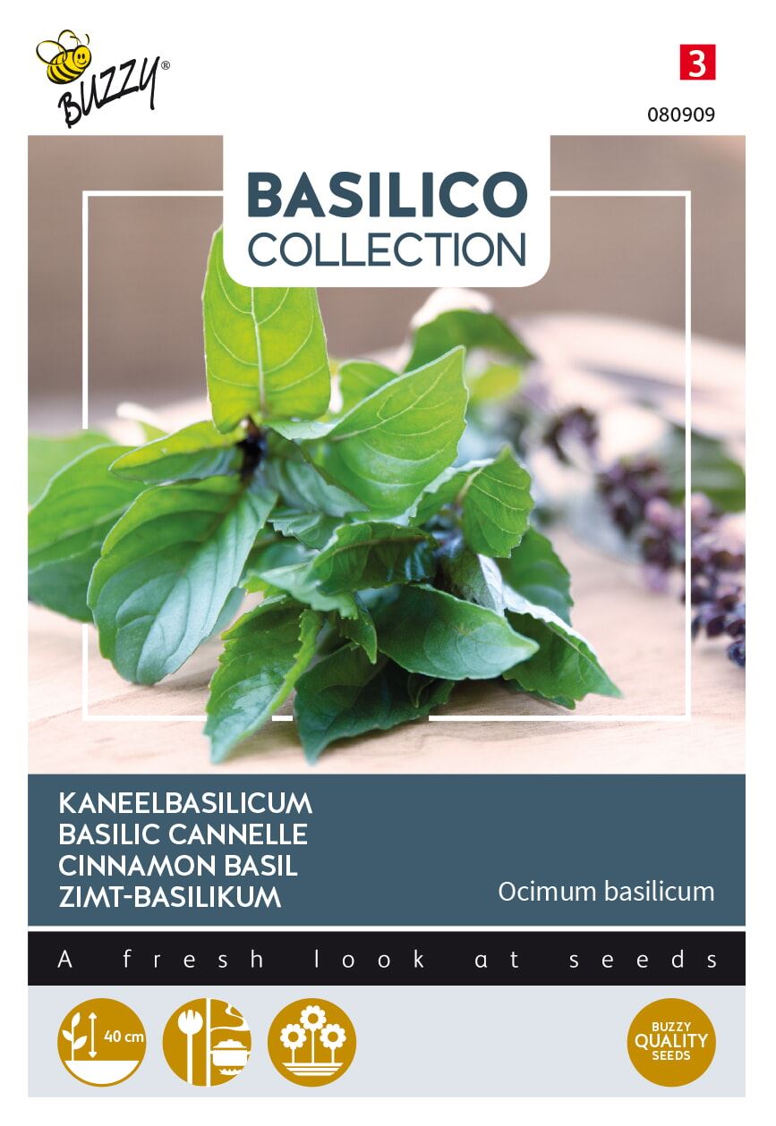Buzzy-Basilicum-Canella