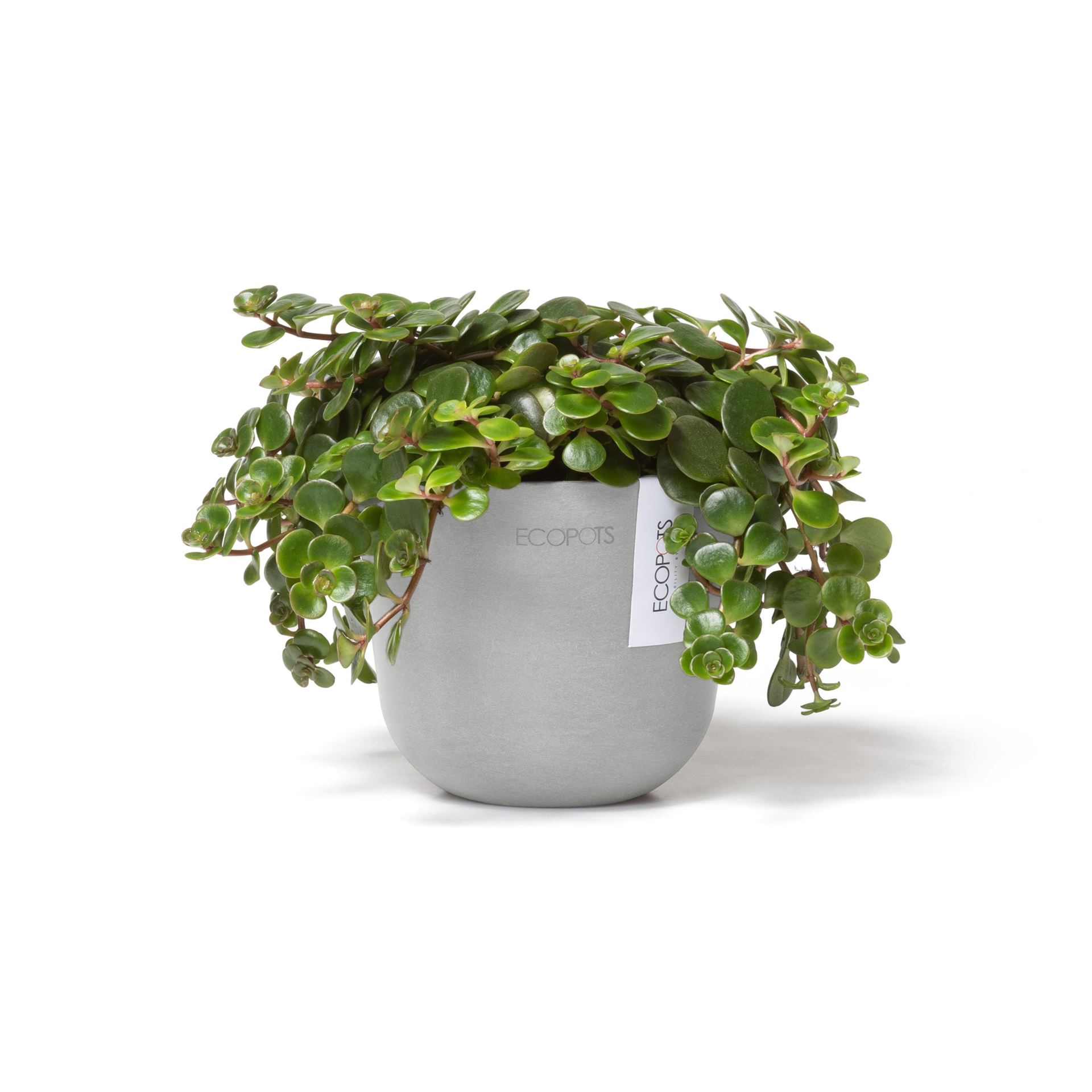 Ecopots-oslo-mini-white-grey-11-5-cm-H10-cm