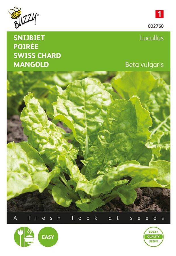 Swiss chard Lucullus
