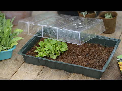 Nature Coco mat H1,1x30x19cm for mini greenhouse 6020242