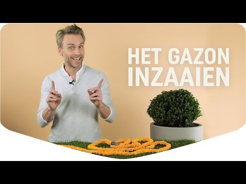 Pokon Gazongrond - 30L - Geschikt voor 3-5m² - Bio