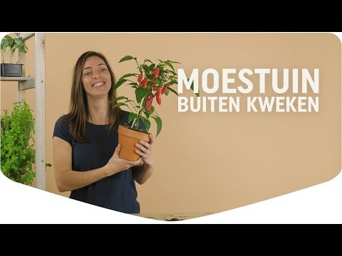 Pokon potgrond voor moestuin - 20L 