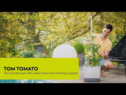 Gusta Garden TOM TOMATO - pot à tomates avec réservoir d'eau - vert foncé