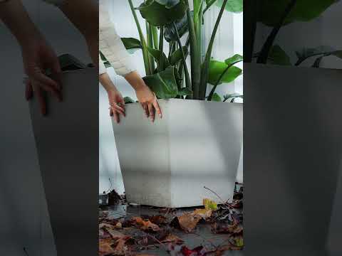 Ecopots Rotterdam 20 - Pure White - 20.3 x H17.8 cm - Square white flower pot / planter