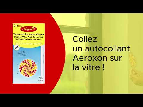 Aeroxon Spiraal Venstersticker – 3x – tegen vliegen