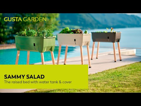 Gusta Garden SAMMY SALAD - salad growing container with water tank & lid - anthracite
