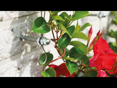 Fil de fer naturel 10mx1.8mm pour plantes grimpantes