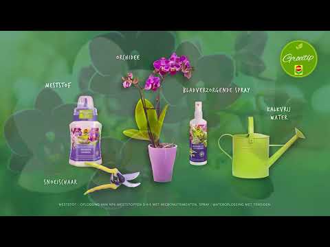 Compo Sana potting soil - 5l