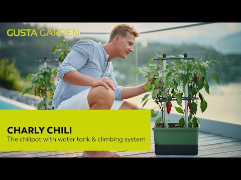 Gusta Garden CHARLY CHILI - poivrière avec réservoir d'eau et support grimpant - vert foncé