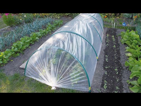 Maille anti-insecte nature - 2x5m - blanc - maille 1.8x1.8mm 38g/m²