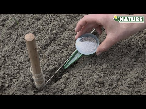 Nature seed spreader - Diameter 6cm