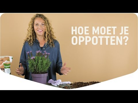 Pokon potgrond universeel - 40L