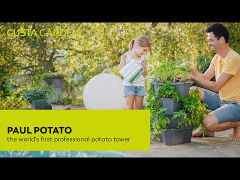 Gusta Garden PAUL POTATO - aardappeltoren - 4 niveaus - donkergroen