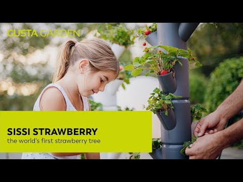 Gusta Garden SISSI STRAWBERRY - strawberry tower/strawberry growing pot - 6 levels - anthracite