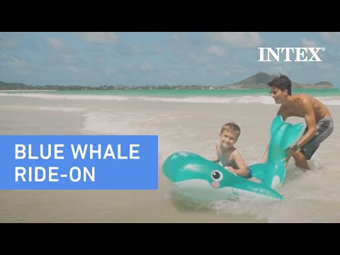 Intex opblaasfiguur Walvis - L168 x B140 cm