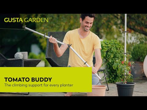 Gusta Garden TOMATO BUDDY - aide à l'escalade des tomates - lot de 3
